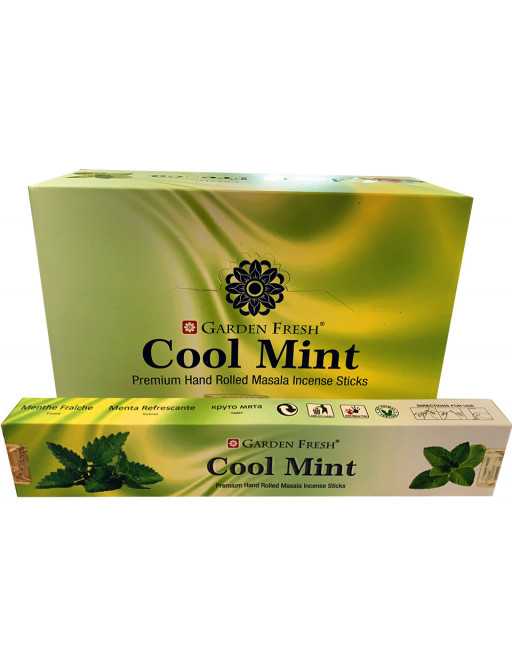 Encens Garden Fresh Cool Mint masala 15g