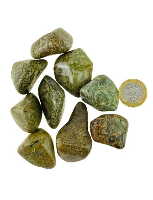Pierre roulée - Jaspe Serpentine - 20-30g