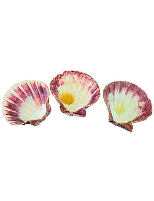 Coquille Saint-Jacques Coquille Saint-Jacques