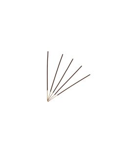 Encens Providence Saint Joseph - Bois de Santal - 20g Encens Providence Saint Joseph - Bois de Santal - 20g