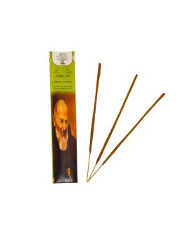 Encens Providence Padre Pio - Camphre - 20g