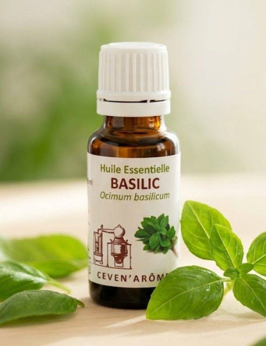 Huile essentielle de Basilic - 10 mL