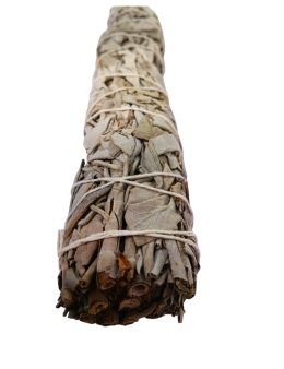 Fagot Sauge Blanche amérindienne 22cm 90-100g