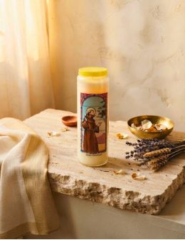 Neuvaine vitrail : Saint François