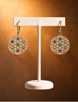Boucles d'oreilles Acier inoxydable - 7 chakras - Hexagonale