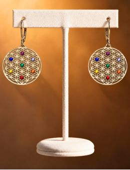 Boucles d'oreilles Acier inoxydable - 7 chakras - Hexagonale