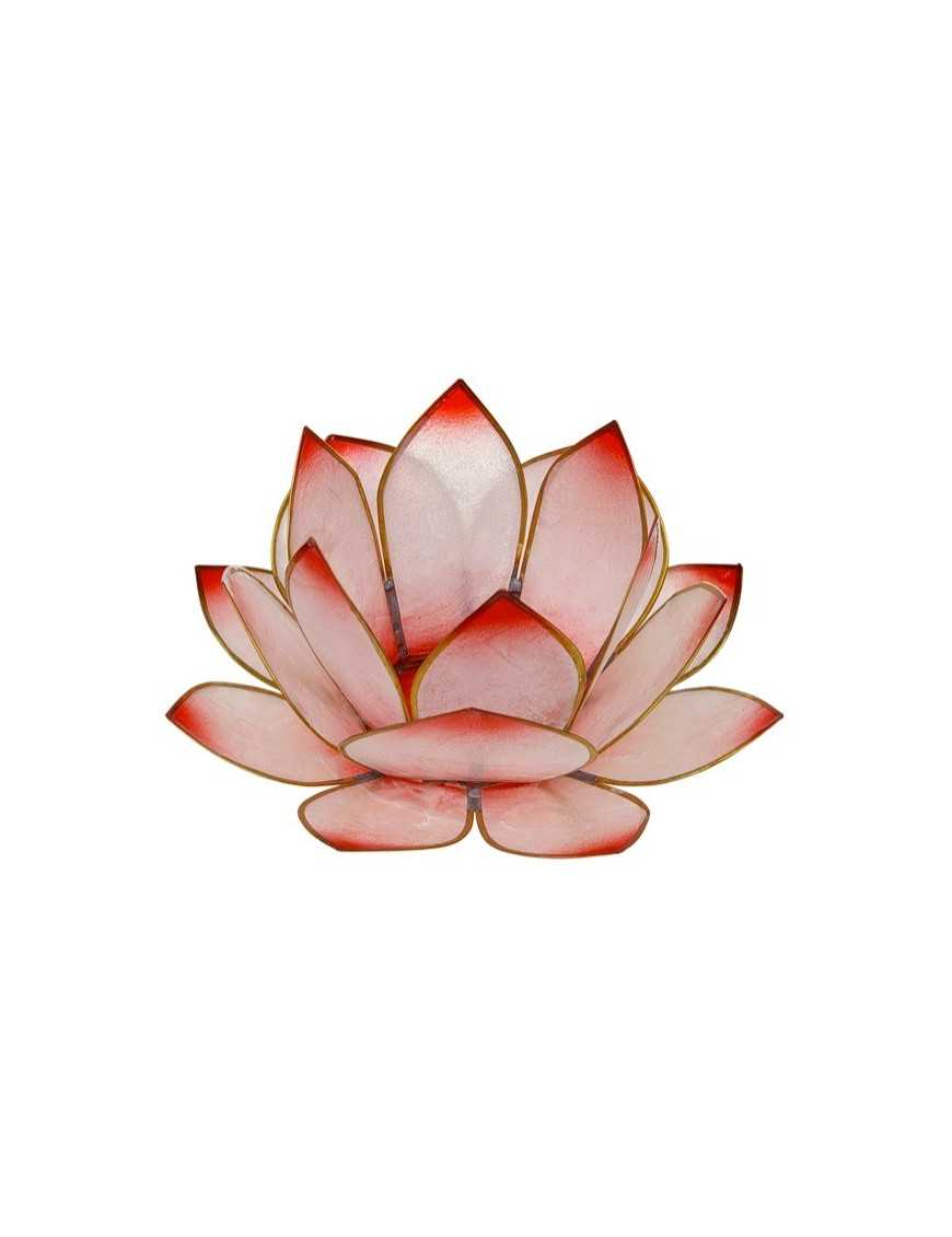 Lotus Lever du Soleil