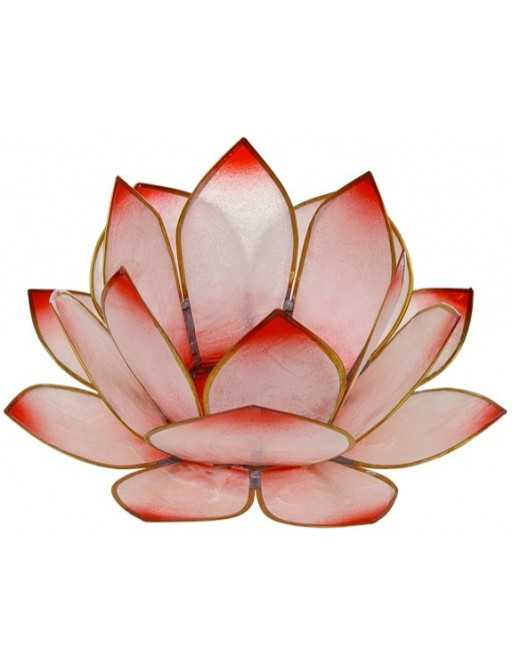 Lotus Lever du Soleil
