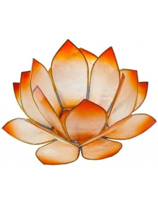 Lotus Crépuscule