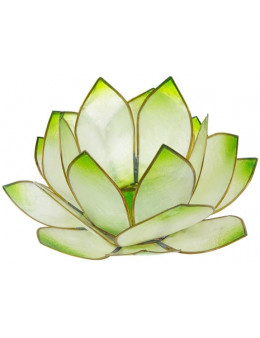 Lotus Crépuscule