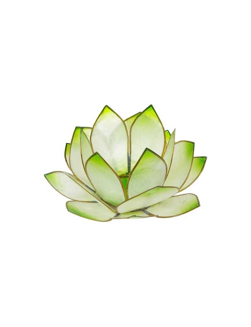 Lotus Crépuscule