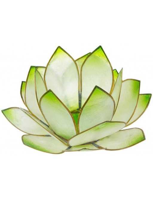 Lotus Crépuscule