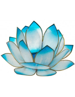 Lotus Crépuscule