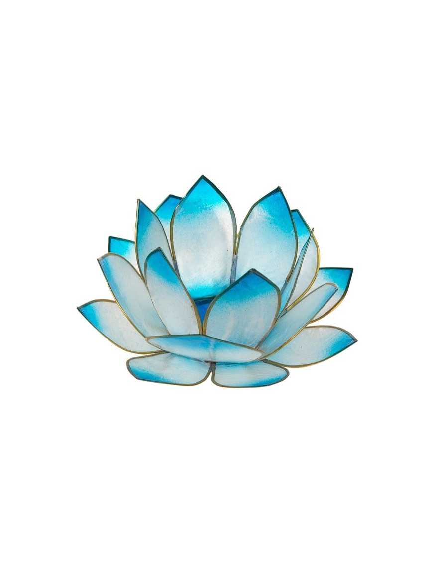 Lotus Crépuscule