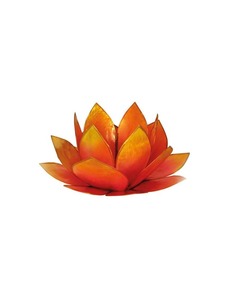 Lotus Crépuscule